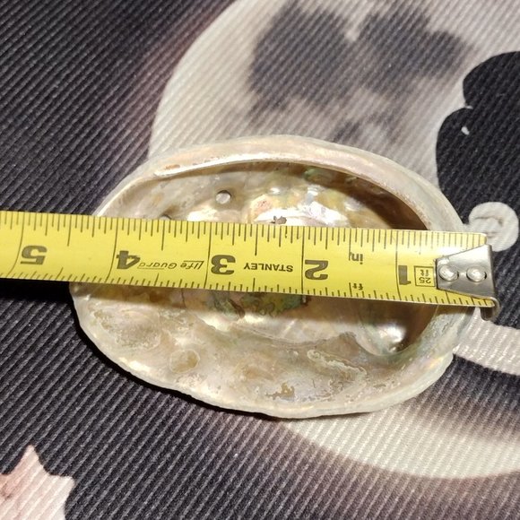 Small Abalone Seashell w/Smudge - Picture 4 of 5